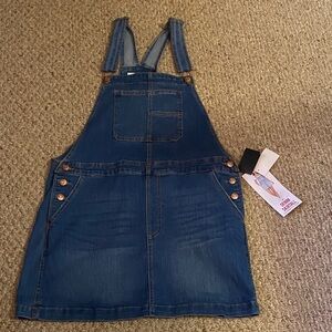 Celebrity Pink Blue Denim Women’s Skirtall